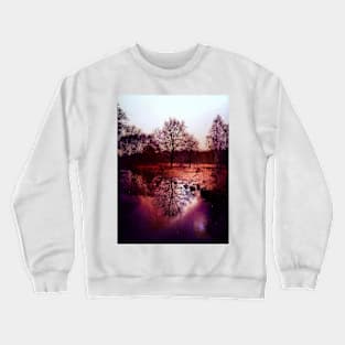 Tree Reflection Crewneck Sweatshirt